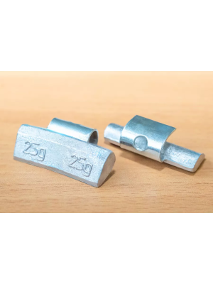 ,    25. (100.)
